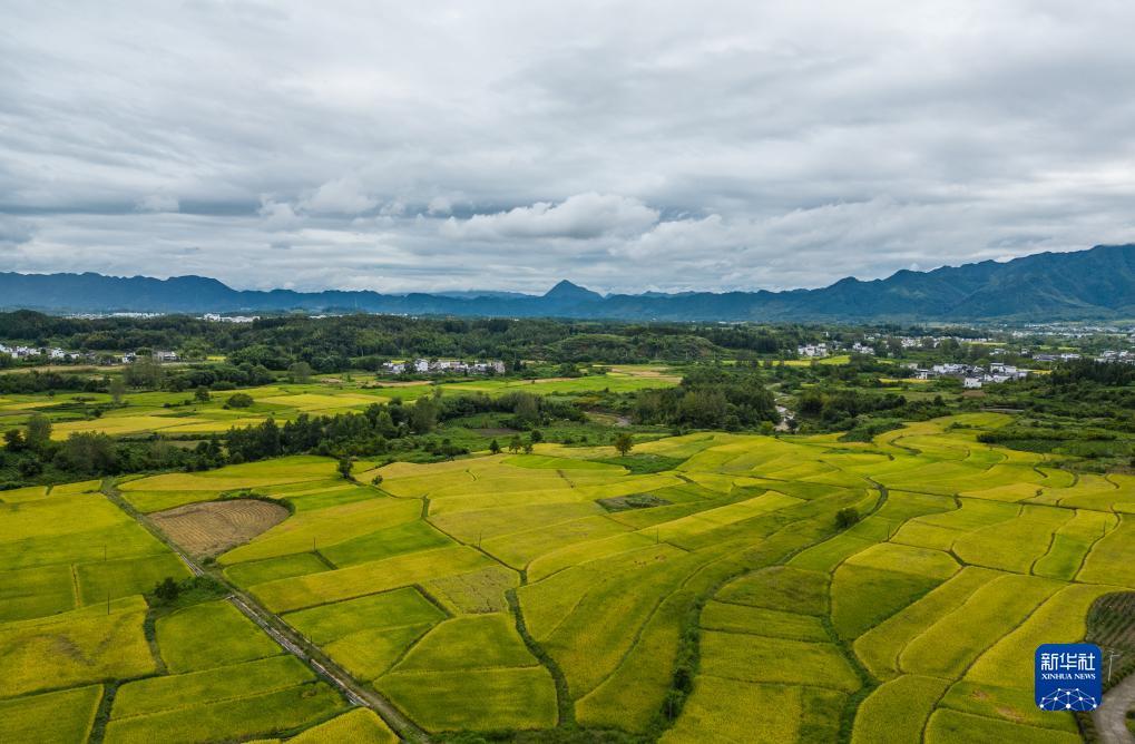 美高梅公司